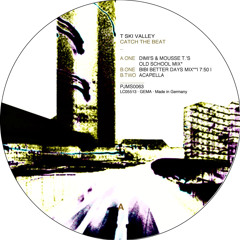T Ski Valley – Catch The Beat (Bibi Better Days Mix)