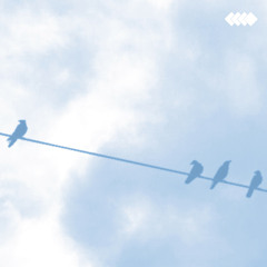 03 the result (benjamin fehr & falko brocksieper) - synkro - ccco14 - master