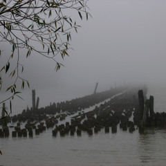 Mist in the Horizon