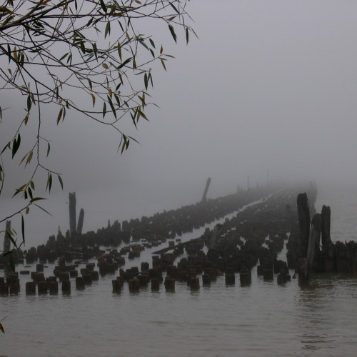 Mist in the Horizon