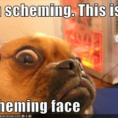 Stay Schemin Freestyle