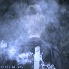 CRIM3S - Holes (Electronic Deer Remix)