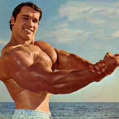 Arnold Schwarzenswagger