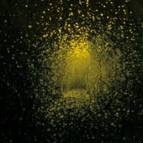The Antlers - Every Night My Teeth Are Falling Out