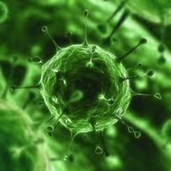 Main Sequence Star - Virus (unreleased)