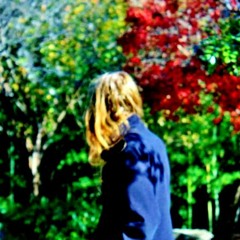 The Young Traveler’s Journey