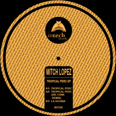 Mitch Lopez - Tropical Perc (original  mix)  Intech Records