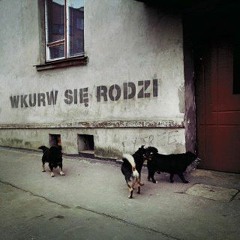 WORK IN PROGRESS 001 "ALBUM MONSTER" (previews)