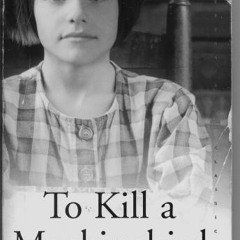 To Kill A Mockingbird- Chapter 9