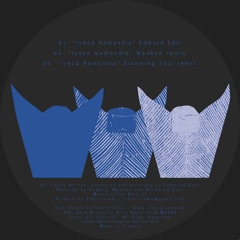 Infected Soul - Iyeza Namandla (Madben remix) (CLIP)[May 2012 on Blooming Soul Records/ 12inch]