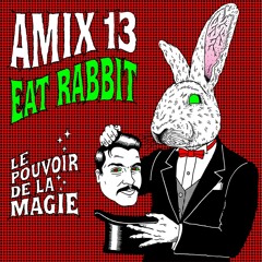 Le pouvoir de la magie - Eat Rabbit-AMIX#13