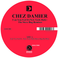 Chez Damier - Can You Feel It (Steve Bug Re-Dub)