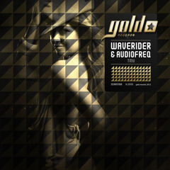 Waverider &amp; Audiofreq - TMU