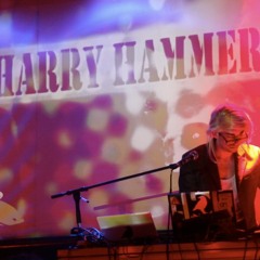 Harry hates haus - (daily smoker remix)