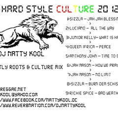 HARD STYLE CULTURE 2012 Reggae Mix *DJ NATTY KOOL*