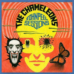 The Chameleons - Second Skin (John Peel Sessions)