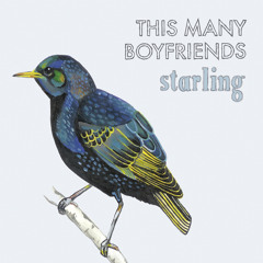 This Many Boyfriends - 'Starling'