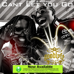 Cant Let You Go By Radio & Weasel ( Selekta Elvis // Dont isten to Noise Listen to Music //