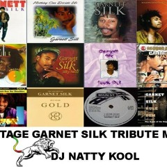 Vintage Garnet Silk Mix *DJ NATTY KOOL*