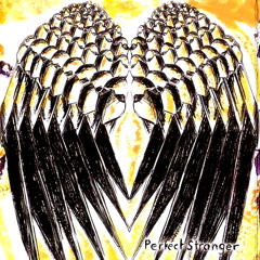 Perfect Stranger Acoustic