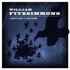 William Fitzsimmons & Priscilla Ahn - I don't feel it anymore