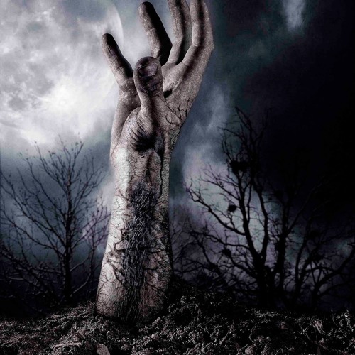 Shallow Grave (Preview Clip)