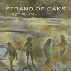 Strand Of Oaks - Two Kids