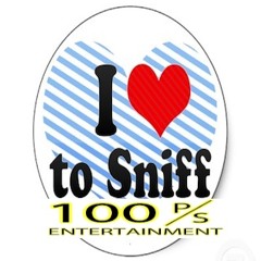 Dunna100 - Sniff The Recipe