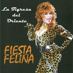 Stream La Tigresa del Oriente music | Listen to songs, albums ...