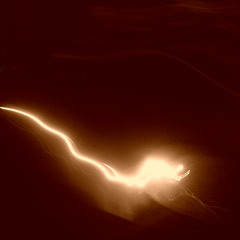 Something Love You (with domXh)