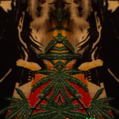 taken root
