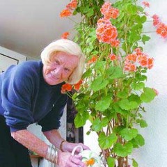 Geranium Thief (Demo)