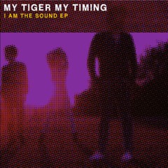 My Tiger My Timing - I Am The Sound (Hook And The Twin Remix)