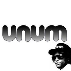 Tha Muthaphukkin Real - Eazy E feat. MC Ren (Unum & Mathrok Collabo Re-Edit)