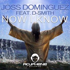 Joss Dominguez Feat. D-Smith - Now I Know