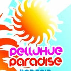 PELLUHUE PARADISE Pres. kOkO dJ edit 2012