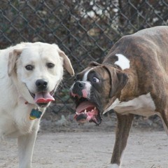 Eta February Promomix