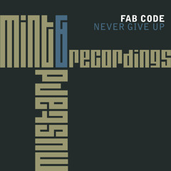 Fab Code - Never Give Up (Original Version) on Mint & Mustard