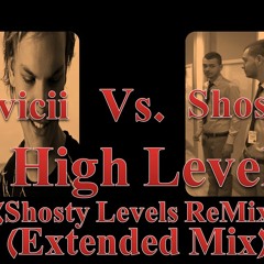 Avicii Vs. Shosty - High Level (Shosty Levels ReMiX) (Extended Mix)