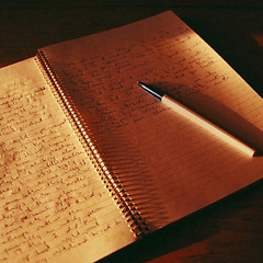 Dear Diary by Ground Zero