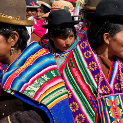 Indigenous Concerns in Brazil & Bolivia (Lp2032012)