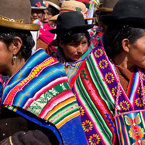 Indigenous Concerns in Brazil & Bolivia (Lp2032012)