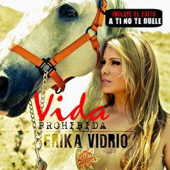 A TI NO TE DUELE-ERIKA VIDRIO