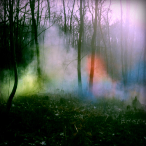 MARIA FALSE-LETTERS IN THE SKY
