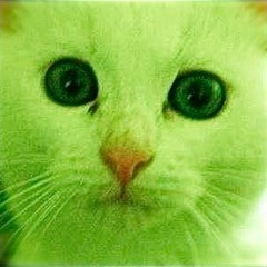 F!shEye - Candyfl!pping