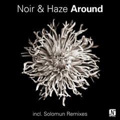 Noir haze - around (solomun vox X dub remix)