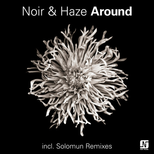 Noir haze - around (solomun vox X dub remix)