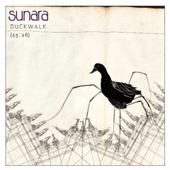 roost3r likes to trip.