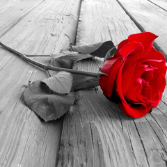 That Ole Devil Called Love (Billie Holiday/Alison Moyet Cover)