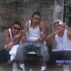 FreeStyle-BonusMc-